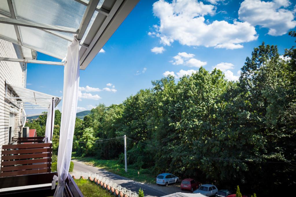Hotel Danica Vrnjačka Banja Habitación foto
