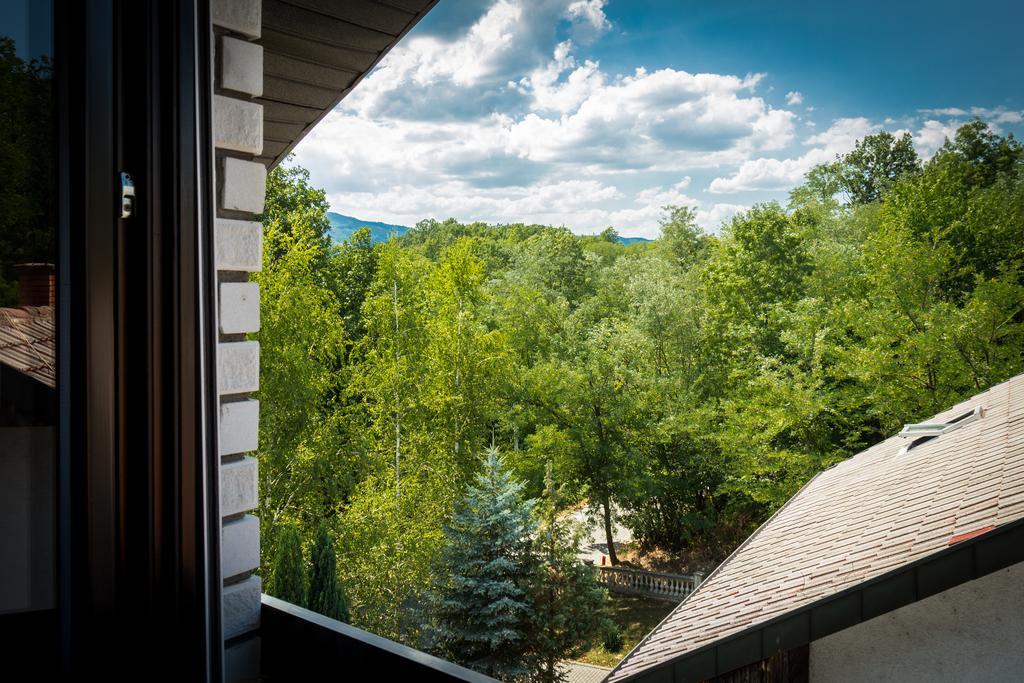 Hotel Danica Vrnjačka Banja Habitación foto
